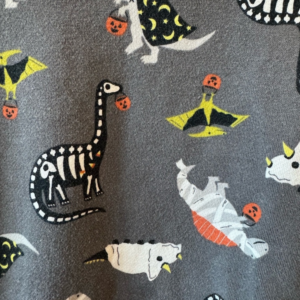 Carter’s Dinosaur Print Gray Kids Sweatshirt 4T Halloween - Picture 2 of 5
